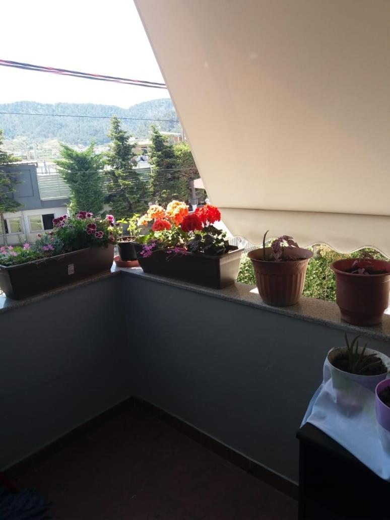 Luander Hotel Tirana Ruang foto